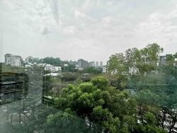 Duet (D10), Condominium #583849961